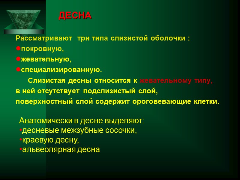 ДЕСНА Рассматривают  три типа слизистой оболочки :  покровную, жевательную,  специализированную. 